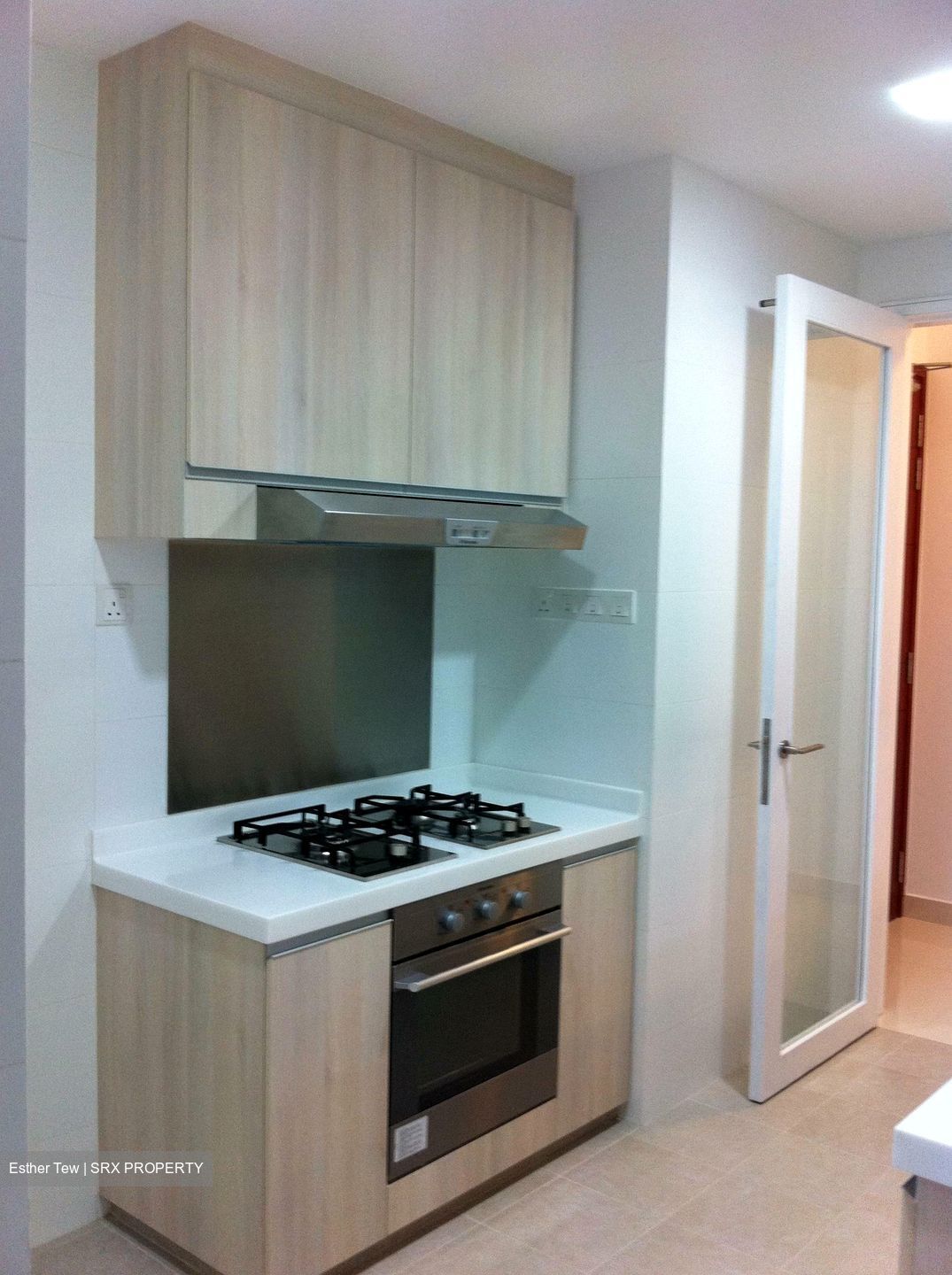 Parc Mondrian (D13), Apartment #352968221